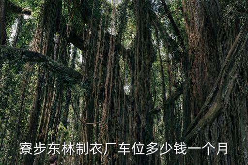 寮步東林制衣廠車位多少錢一個月