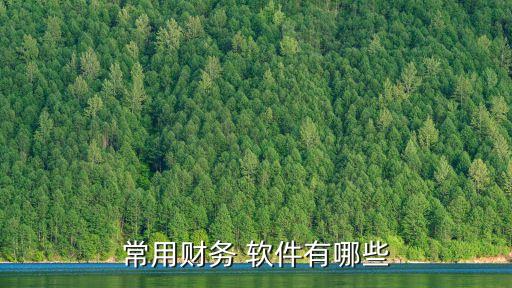 常用財務 軟件有哪些