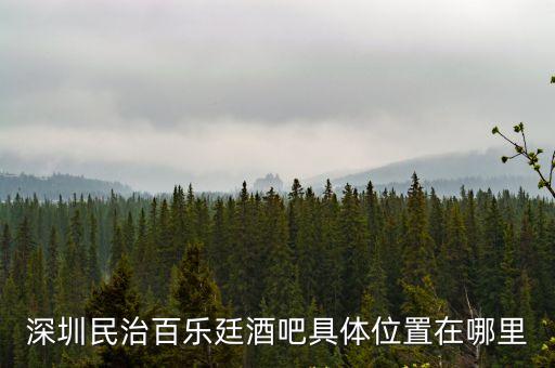 深圳民冶百樂庭，深圳民治哪有迪吧