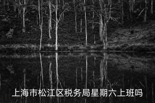 上海市松江區稅務局星期六上班嗎