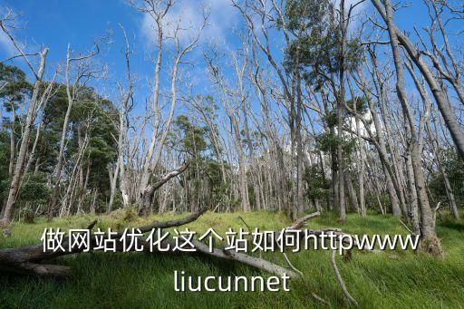 東莞電子網(wǎng)站優(yōu)化地址，網(wǎng)奇科技是東莞最專業(yè)的網(wǎng)站優(yōu)化公司嗎