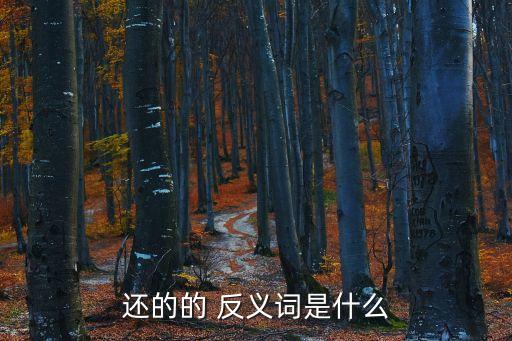 還的反義詞是什么,還字的反義詞是什么還相關的詞語