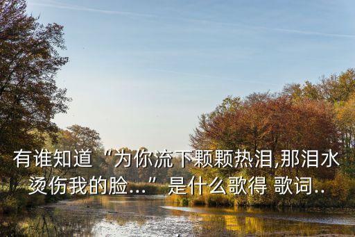 有誰知道“為你流下顆顆熱淚,那淚水燙傷我的臉…”是什么歌得 歌詞...