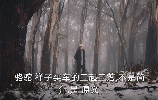  駱駝 祥子買車的三起三落,不是簡介,是 原文