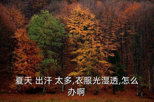 夏天 出汗 太多,衣服光濕透,怎么辦啊