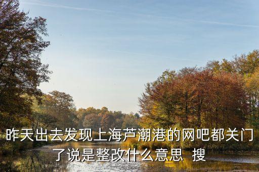 上海市的網吧怎么了，昨天出去發現上海蘆潮港的網吧都關門了說是整改什么意思  搜
