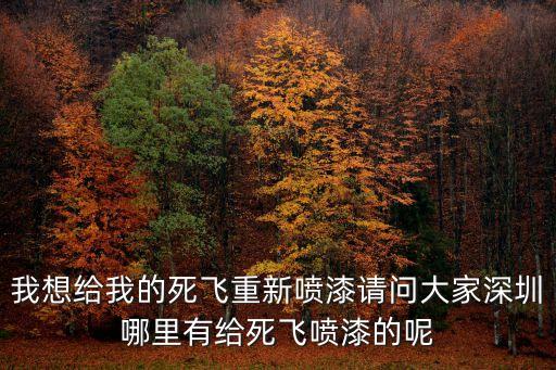 我想給我的死飛重新噴漆請問大家深圳哪里有給死飛噴漆的呢