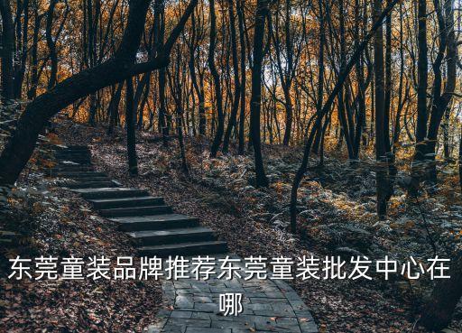 東莞童裝品牌推薦東莞童裝批發(fā)中心在哪