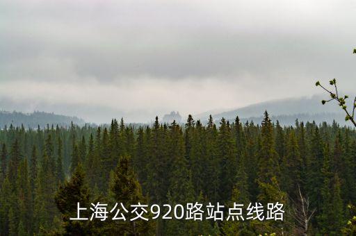 上海公交920路站點(diǎn)線路
