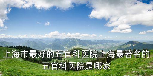 上海市最好的五官科醫(yī)院上海最著名的五官科醫(yī)院是哪家