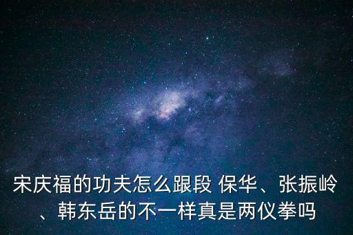 宋慶福的功夫怎么跟段 保華、張振嶺、韓東岳的不一樣真是兩儀拳嗎