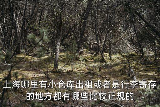 上海哪里有小倉庫出租或者是行李寄存的地方都有哪些比較正規的