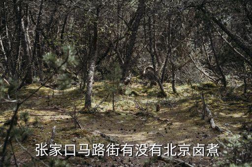 張家口小吃,張家口火車站小吃街有哪些老字號火鍋店?