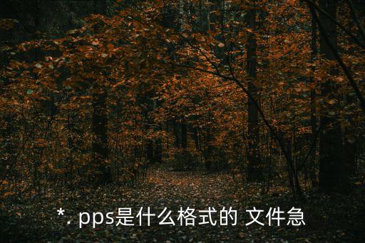 *. pps是什么格式的 文件急