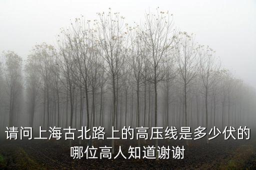 上海市內的高壓電線，上海浦東黑松路的高壓線是多少千伏