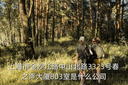 華東優商達人賽上海市區，上海市金沙江路中山北路3323號春之聲大廈803室是什么公司