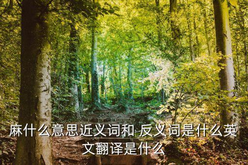 麻利的反義詞,手腳麻利的反義詞是什么