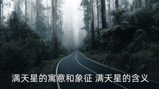  滿天星的寓意和象征 滿天星的含義