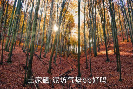 土家硒泥坊,土家硒泥坊氣墊bb好嗎?
