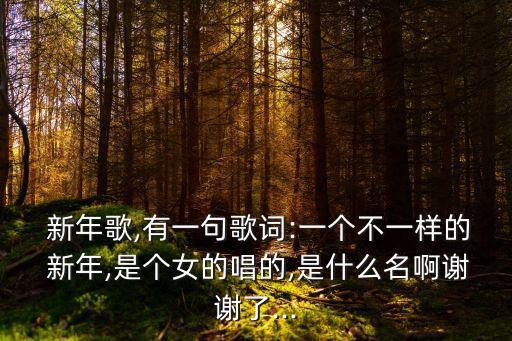  新年歌,有一句歌詞:一個不一樣的 新年,是個女的唱的,是什么名啊謝謝了...