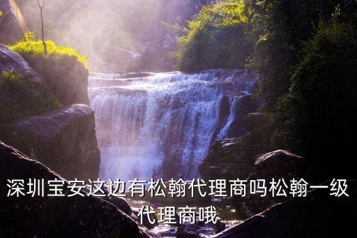 深圳寶安這邊有松翰代理商嗎松翰一級代理商哦