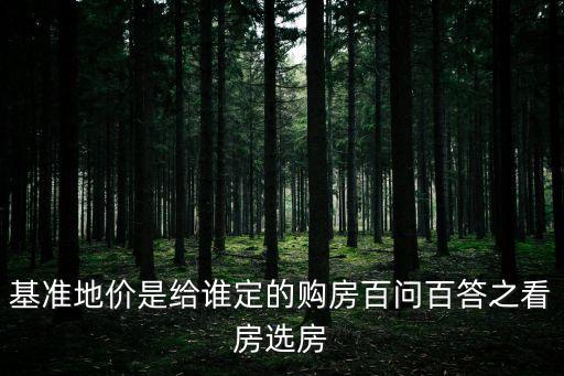 基準地價是給誰定的購房百問百答之看房選房
