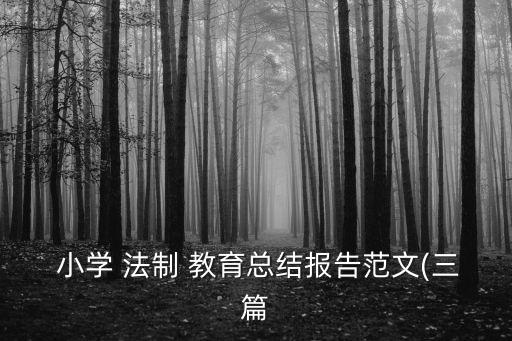  小學(xué) 法制 教育總結(jié)報(bào)告范文(三篇