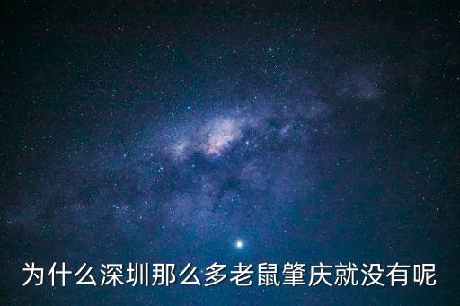 深圳老鼠太多，深圳的老鼠是不是比人還要多呢