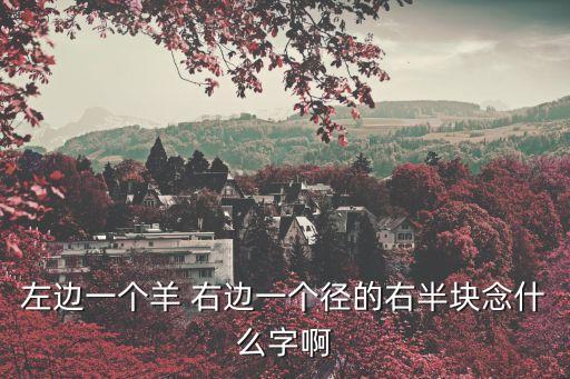 左邊一個羊 右邊一個徑的右半塊念什么字啊