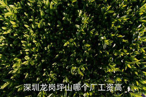 深圳龍崗坪山哪個廠工資高