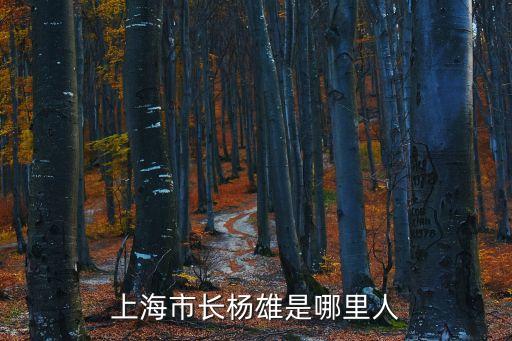 上海市長楊雄是哪里人