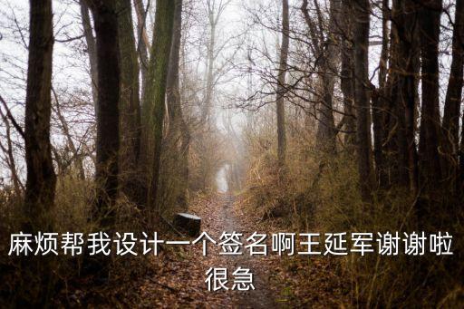 麻煩幫我設計一個簽名啊王延軍謝謝啦很急