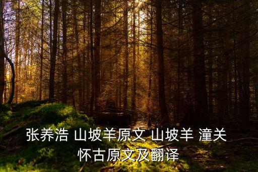 張養浩 山坡羊原文 山坡羊 潼關 懷古原文及翻譯