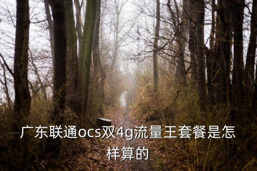 廣東聯通ocs雙4g流量王套餐是怎樣算的