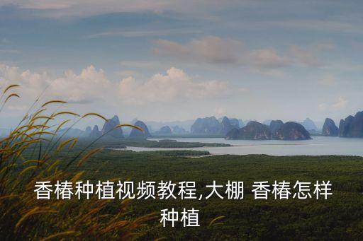 香椿苗栽培,怎么種香椿?香椿種植技術(shù)