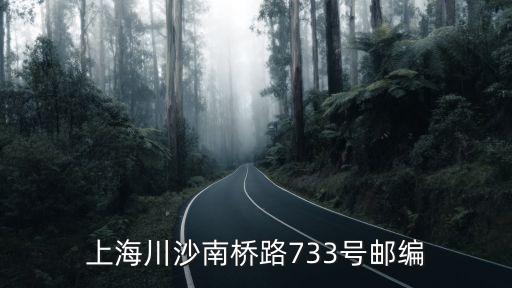 上海川沙南橋路733號郵編