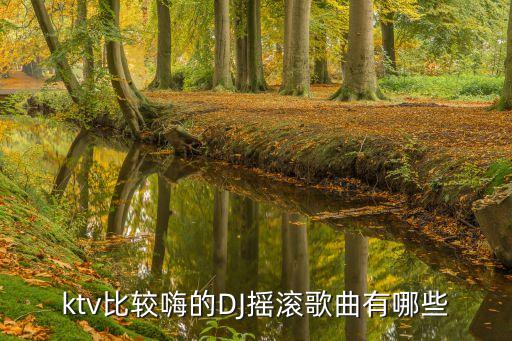 ktv比較嗨的DJ搖滾歌曲有哪些