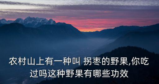 農村山上有一種叫 拐棗的野果,你吃過嗎這種野果有哪些功效