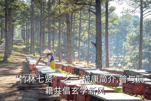 稽康,嵇康冷對鐘士季文言文翻譯