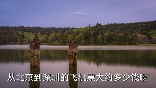 從北京到深圳的飛機(jī)票大約多少錢啊