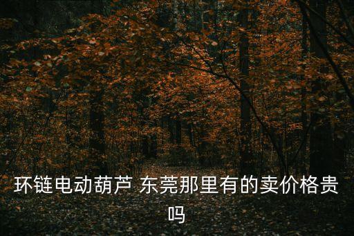 東莞曲線運行小型電動葫蘆，環鏈電動葫蘆 東莞那里有的賣價格貴嗎