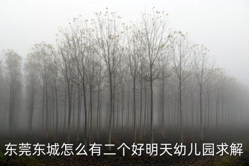 東莞東城怎么有二個好明天幼兒園求解