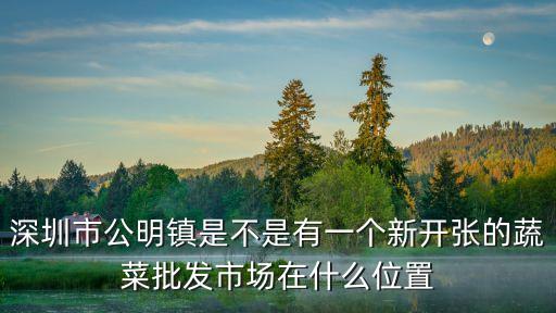深圳市公明鎮是不是有一個新開張的蔬菜批發市場在什么位置