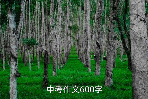 中考范文,中考優(yōu)秀作文200字