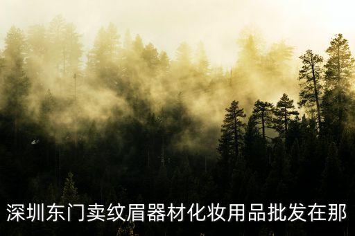 深圳東門賣紋眉器材化妝用品批發(fā)在那
