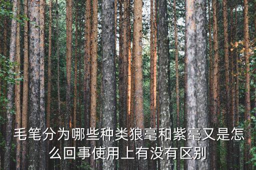 毛筆種類,毛筆有哪些種類?看這里!