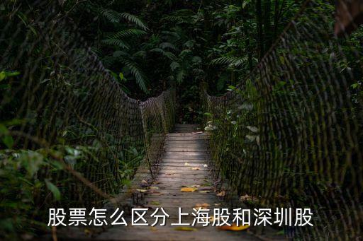 股票怎么區(qū)分上海股和深圳股