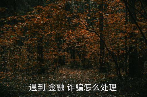 金融詐騙,金融詐騙罪屬普通詐騙類型