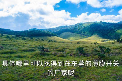 具體哪里可以找得到在東莞的薄膜開關的廠家呢