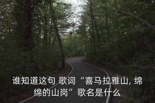 綿綿歌詞,張學友舊情綿綿歌詞